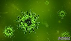 高福称疫苗是战胜传染病的终极武器：新冠病毒可能和人类共存