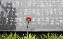 新华全媒+ | 清明祭英烈：当新四军老战士来到战友墓前